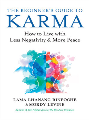 The Beginner's Guide to Karma - ebook